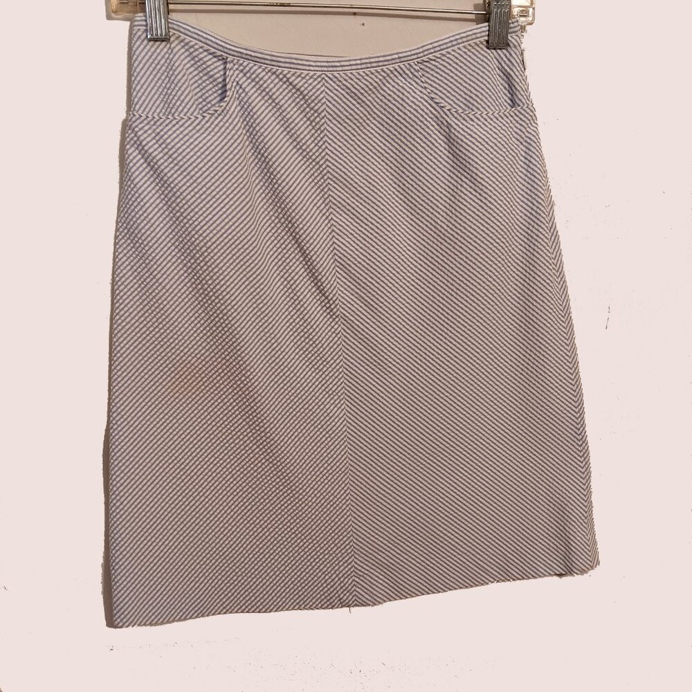 Ann Taylor White and Blue Mini Skirt Size 2